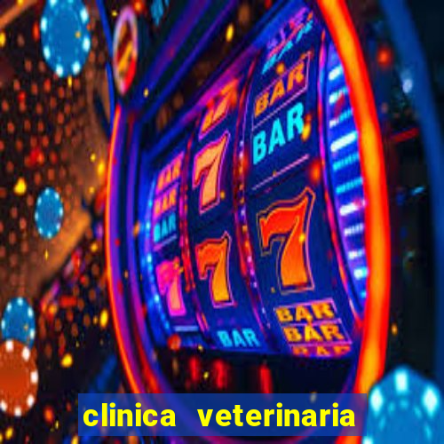 clinica veterinaria cuidar betim